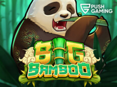 Big fish casino games13